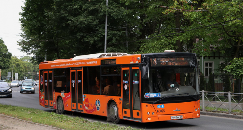 Калининград получит 33 автобуса с USB-розетками с опозданием в месяц