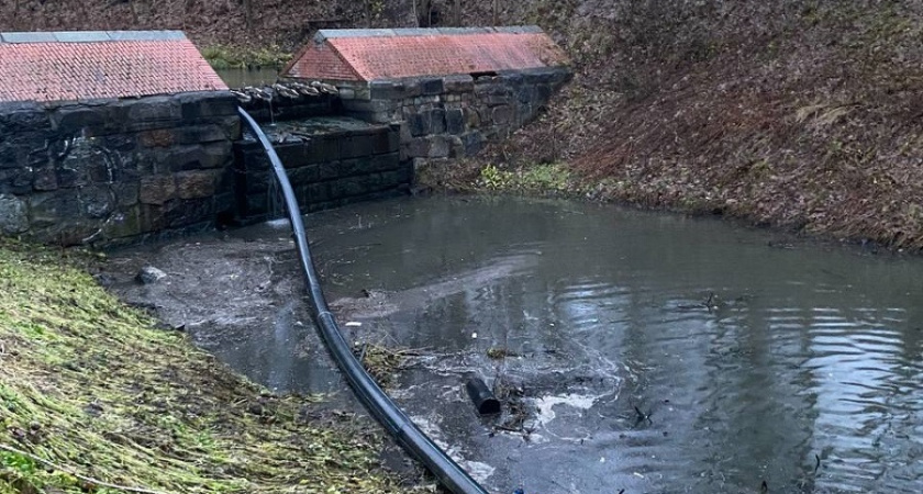 В Калининграде началась расчистка русла Литовского ручья: важный этап в оздоровлении городской среды