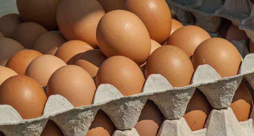 Елаев объяснил, почему в Калининградскую область не завозят яйца из Турции