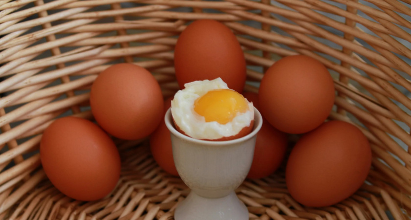 Германия помогла яйцами!