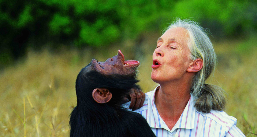 Ученые раскрыли секрет того, что делает нас людьми. Чем наш мозг уникален?