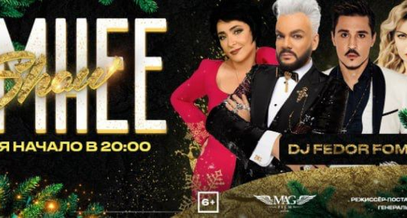 Новогоднее мероприятие «Зимнего SHOW» попало под удар, из-за самой скандальной вечеринки года