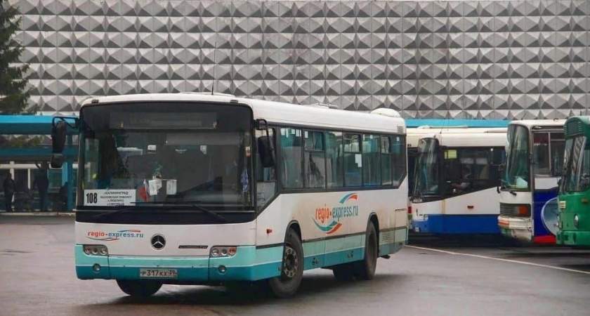 Какие автобусы из Калининграда отменят на время новогодних каникул? Свежая информация