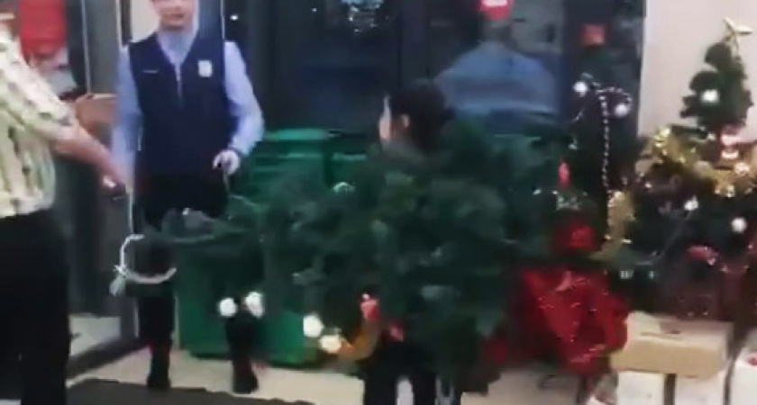 Новогоднее настроение должно ощущаться в каждом действии! Женщина с елкой накинулась на охранника (ВИДЕО)