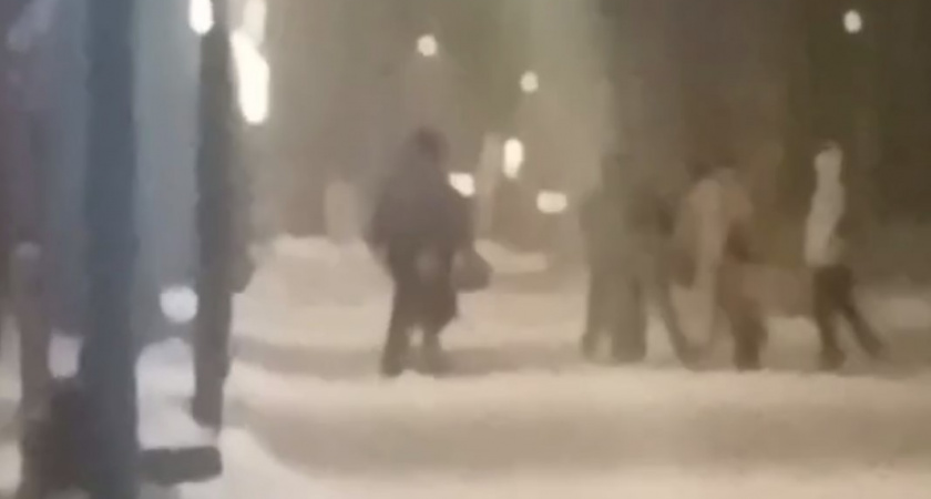 В Подмосковье произошла массовая драка (ВИДЕО)