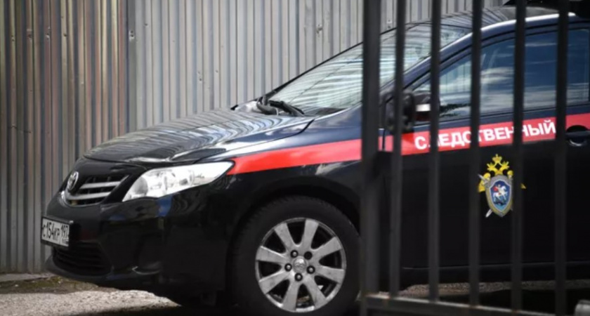 Два пятиклассника жестоко избили 11-летнюю сироту