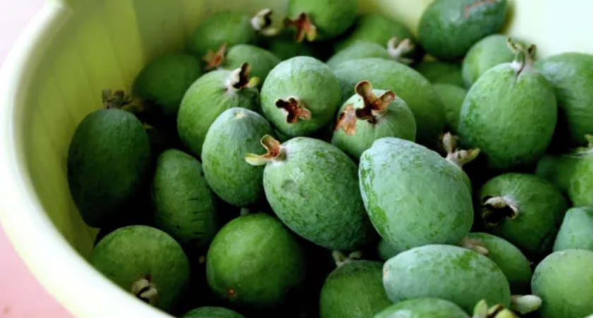 Чем полезен фейхоа для организма женщин и мужчин?