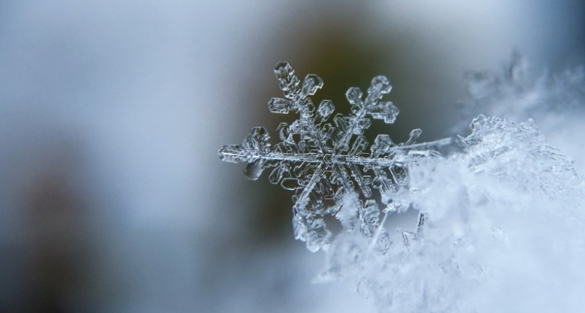 Какая погода ожидается в Калининграде в первый рабочий день недели? К чему готовиться?