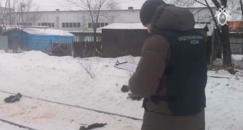 «Бой не на жизнь, а насмерть» Стая собак разорвала мужчину (ВИДЕО)