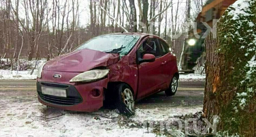 На скорости влетела в дерево! Под Зеленоградском произошла страшная авария с участием легковушки. Есть пострадавшие