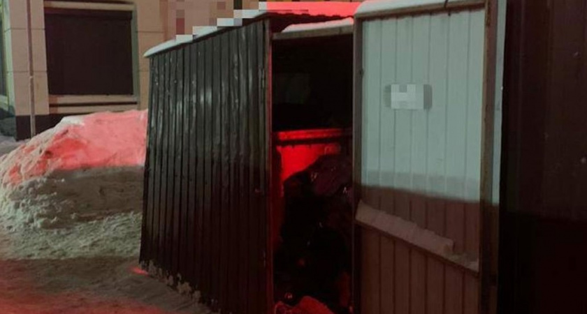 «Изуродовали и выкинули в мусорку» Ужасающее происшествие произошло в Воронеже. Подробности