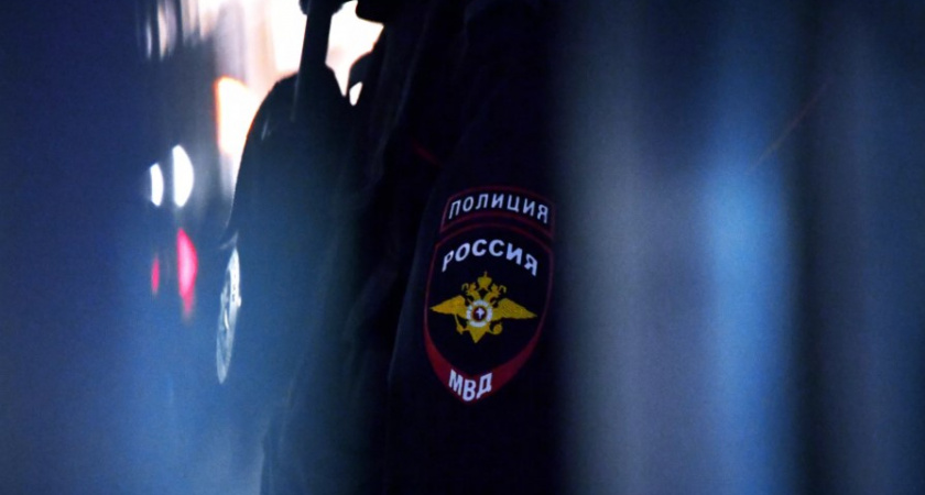 В Братске совершили самосуд над неадекватной хозяйкой питбуля
