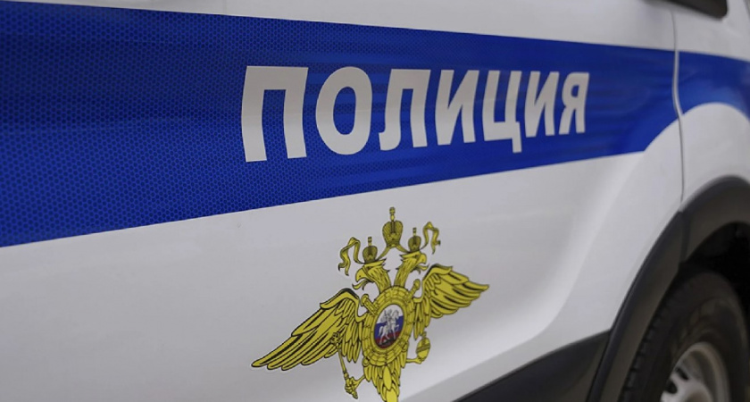 Стащил водку и решил спрятаться в картошке, чтобы полиция не нашла. Подробности инцидента в Калининградской области