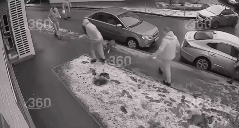 Бойцовская собака напала на девочку (ВИДЕО)