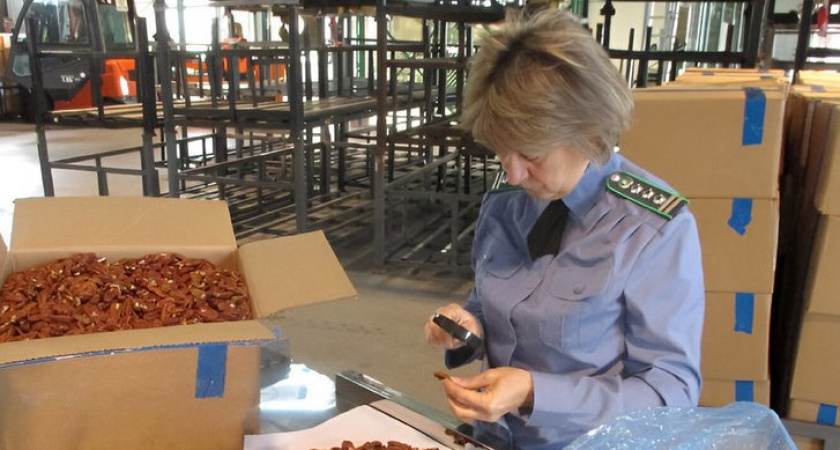 Какую продукцию продолжают завозить в Калининград из других стран. Статистика за прошедшую неделю