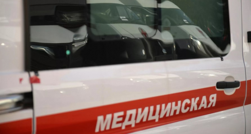Стая собак набросилась на беременную женщину