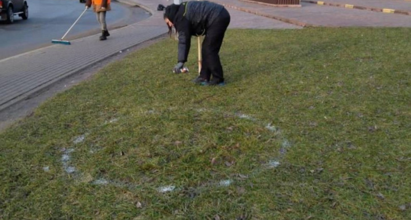 А пришельцы ли оставляют белые круги на газонах Зеленоградска