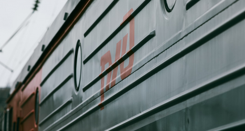 Очень "ответственный" хозяин бросил свою бойцовскую собаку на вокзале