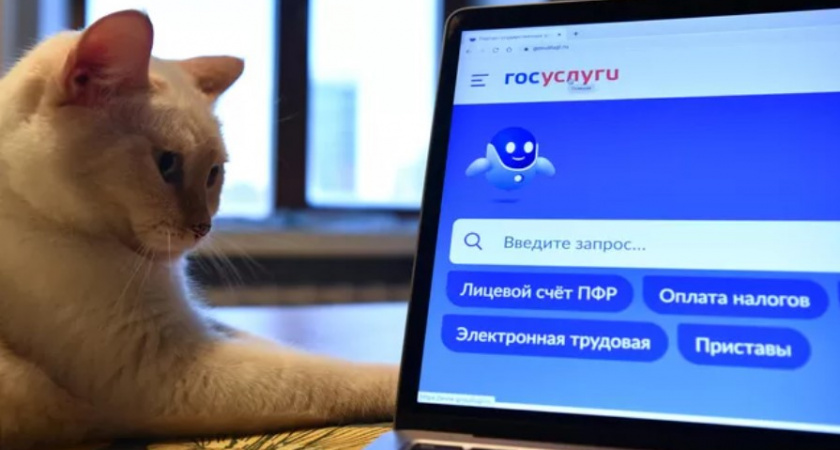 Скоро все справки и социальные льготы станут доступны на Госуслугах
