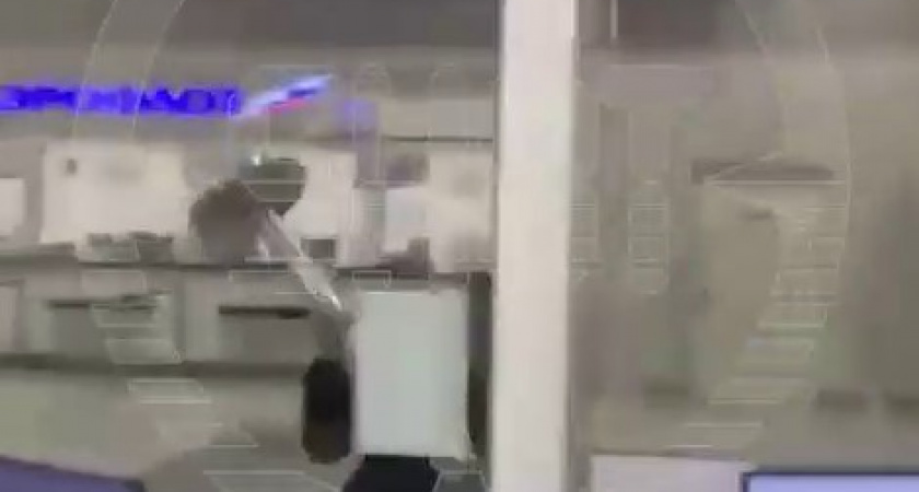 Мужчина не успел зарегистрироваться на рейс в Шереметьево, а поэтому взял стойку ограждения и... (ВИДЕО)