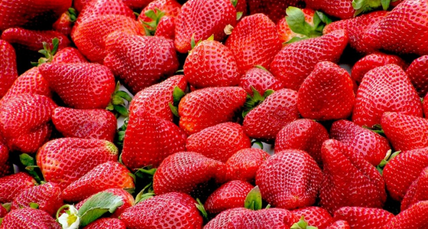 Как сделать так, чтобы клубника лежала в холодильнике долго без плесени. Блогерша поделилась действенным способом