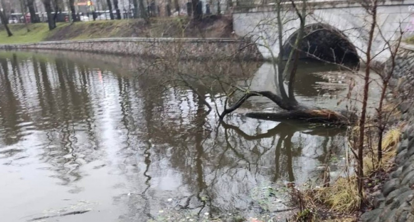 Действительно ли кем-то загрязняется Верхнее озеро в Калининграде. Прокуратура займется проверкой