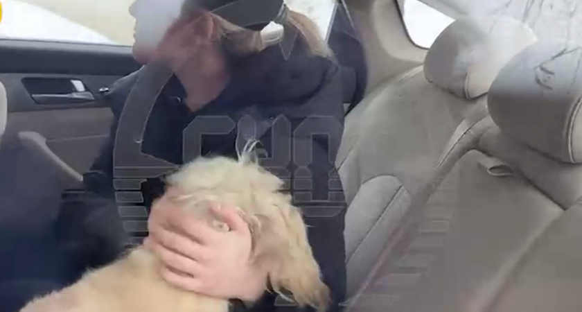 Как сложилась судьба спасенного спаниеля (ВИДЕО)