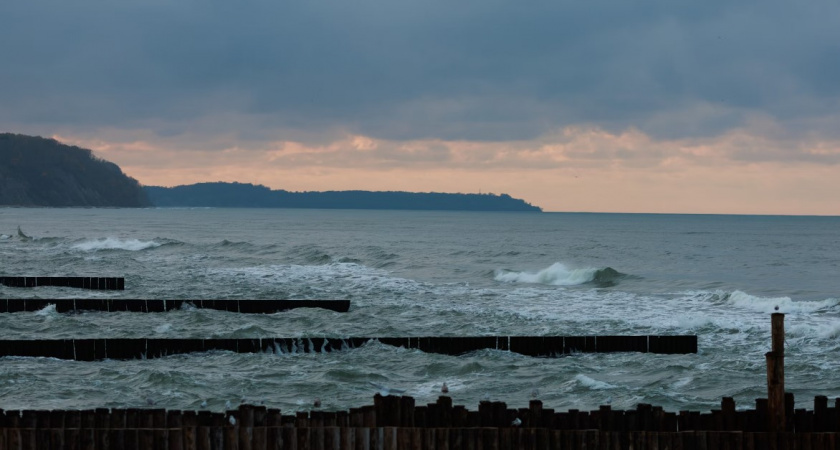 С каждым днем становится все теплее. Прогноз погоды в Калининграде на 15 февраля 
