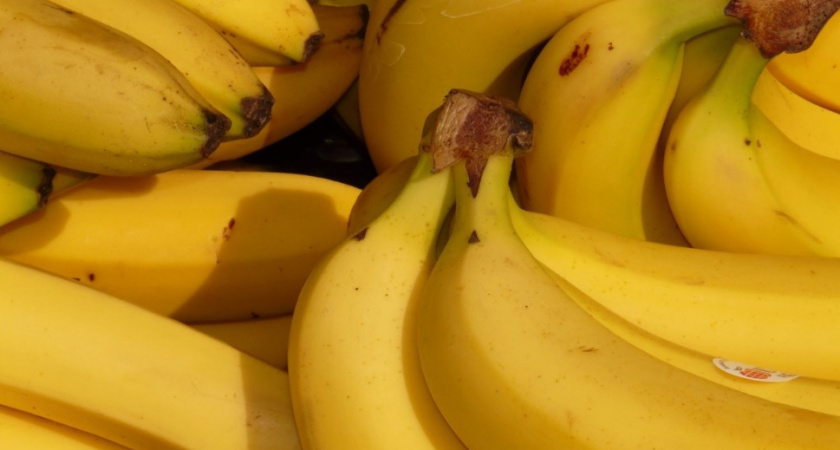 Могут ли компании из Эквадора снова поставлять бананы в Россию