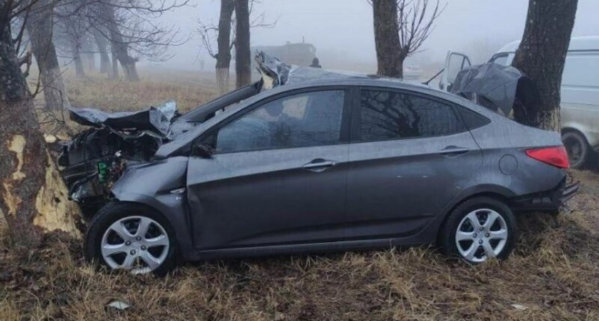 Лошадь стала причиной смертельного ДТП