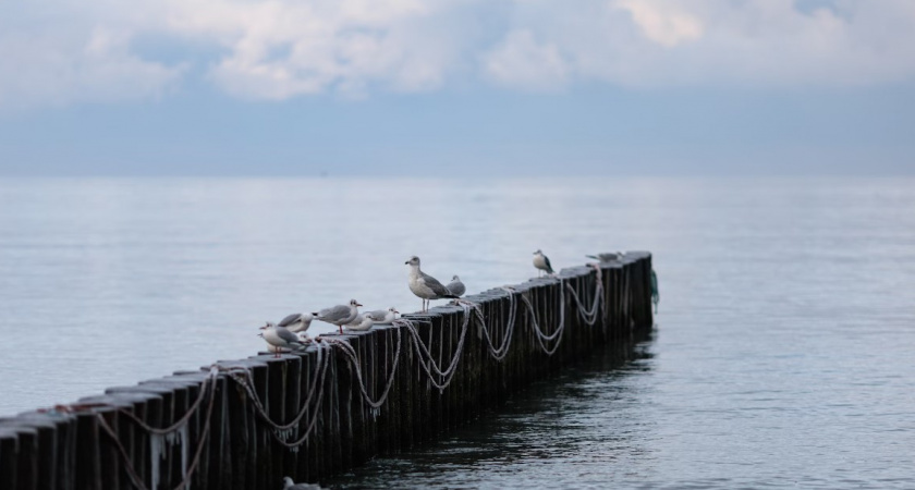 Весна с каждым днем все ближе. Какую погоду стоит ожидать в Калининграде 21 февраля