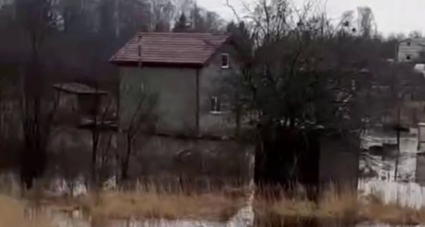 «Дворы стоят в воде и фекалиях» Что сейчас творится на участках в Янтарном. Подробности (ВИДЕО)