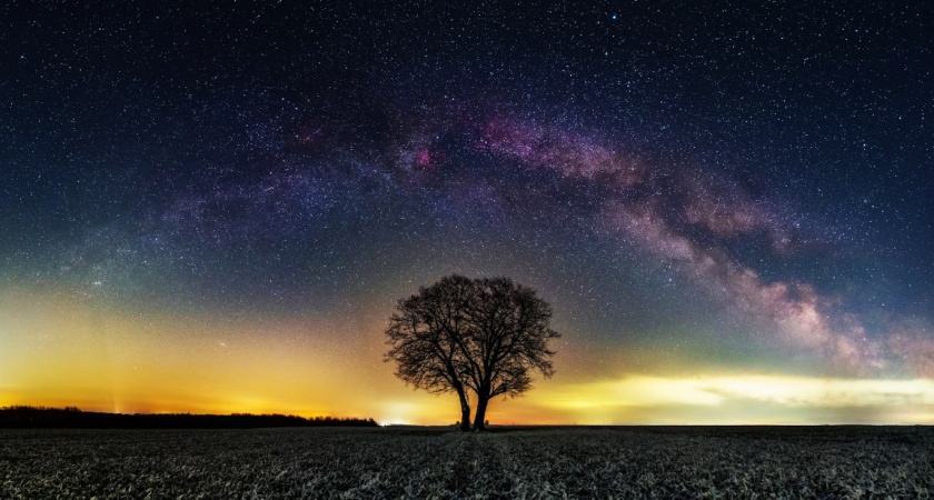 Удача на их стороне: в ближайшее время кошельки этих знаков зодиака будут трещать по швам от денег. Предсказание Тамары Глобы