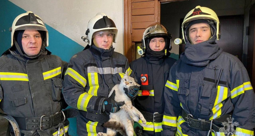 «Прогуливался по крыше 5-этажного дома» - об итогах спасательной операции рассказали в Калининградском МЧС