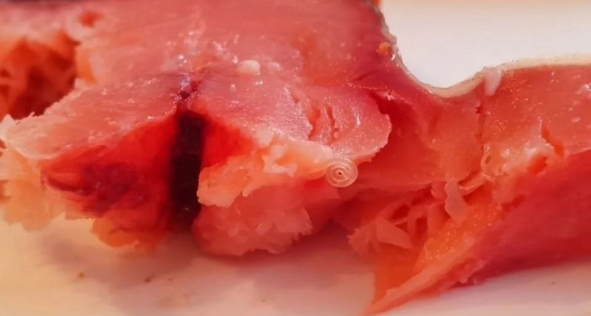 Купил деликатес , а он весь в червях. Житель  Калининграда возмущен тем, что в рыбе , продающейся в одной из сетей , он нашел паразитов. 