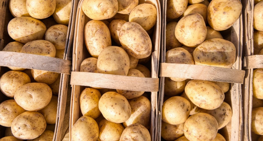 Тушенка по 85 рублей и картофель по 15 рублей за килограмм. Возле каких избирательных участков в Калининграде откроют ярмарки с дешевыми продуктами