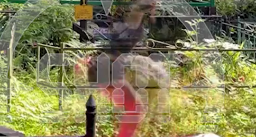 Занималась йогой на кладбище и оскорбляла полицейского (ВИДЕО)