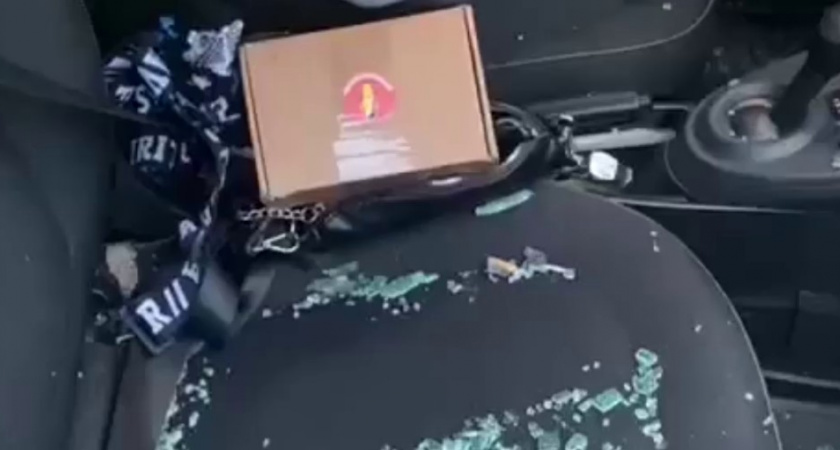 Дерево упало прямо на автомобиль, в котором находился ребенок. Какие последствия. Подробности происшествия в Калининграде (ВИДЕО)