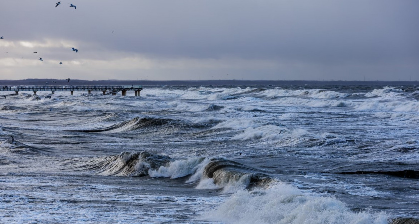 Мартовские температурные «качели» пришли в регион. Какая погода будет в Калининграде 5 марта
