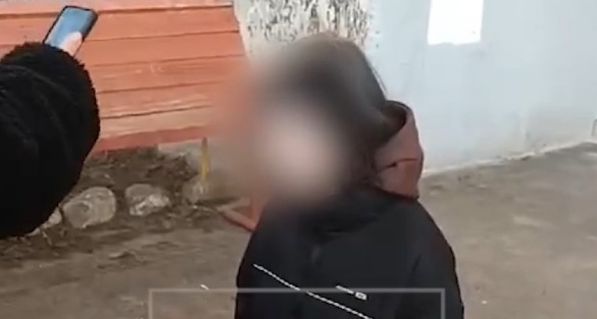 «Поставили на колени, избили и заплевали лицо» В Ленобласти школьницы издевались над девочкой и снимали это на телефон (ВИДЕО)