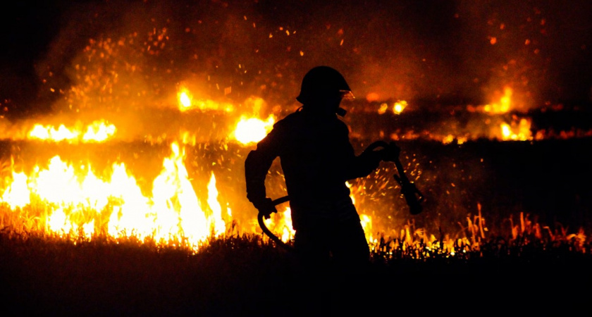 Когда в Калининграде введут особый противопожарный режим. Представители правительства ответили