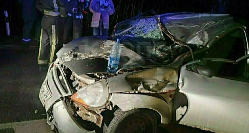 У кого-то вечер явно не задался: машина под Калининградом на скорости влетела прямо в лошадь