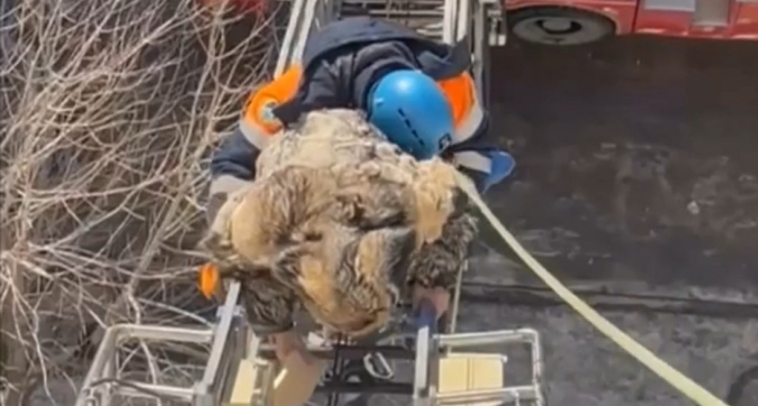 В Уфе спасателям несколько раз за сутки пришлось снимать с карниза мужчину (ВИДЕО)