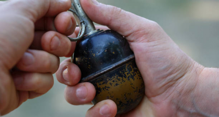 Порвало кисть, когда москвичка попыталась снять с дерева гранату