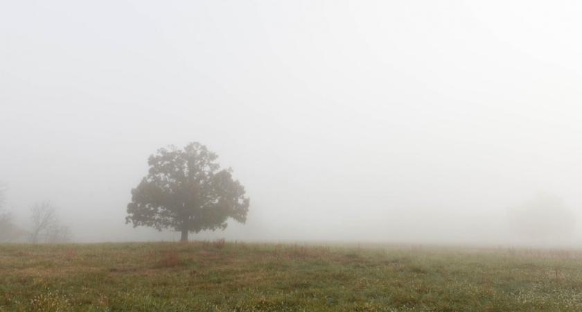 Волна тепла накрыла регион. Какая погода будет в Калининграде 26 марта