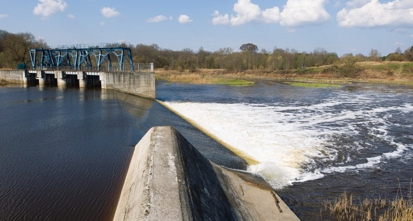 Трагедия в Калининградской области: как мальчик погиб прямо на глазах у своего брата во время прогулки