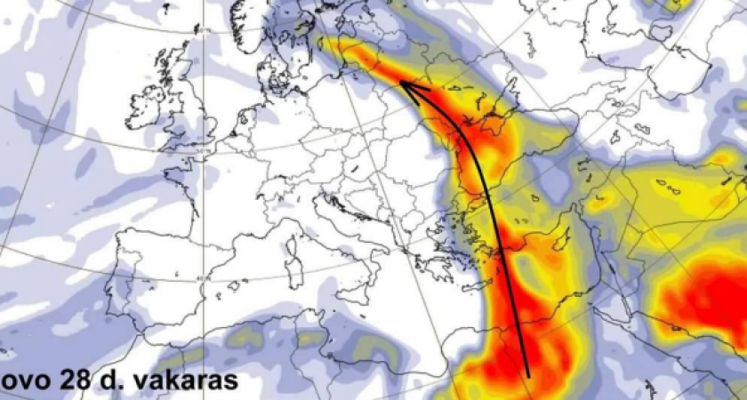 В Калининграде можно будет найти «частички» Африки