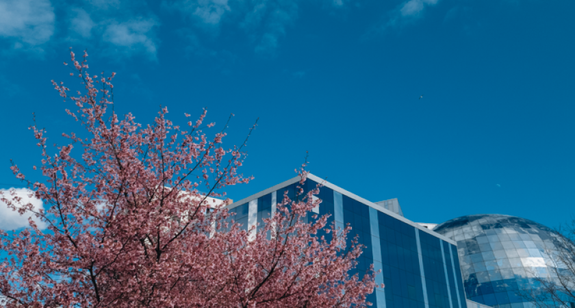 Синоптики рассказали, какую погоду в Калининграде стоит ждать в понедельник