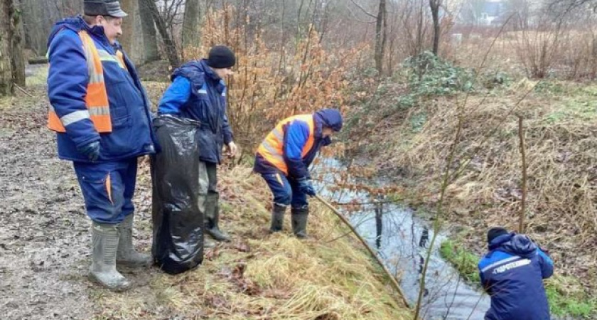 Антон Алиханов рассказал, как калининградцы могут помочь сделать город лучше и чище