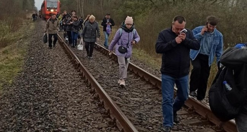 Свежая информация: подозреваемого, по вине которого вчера в Калининграде поезд сошел с путей, задержали